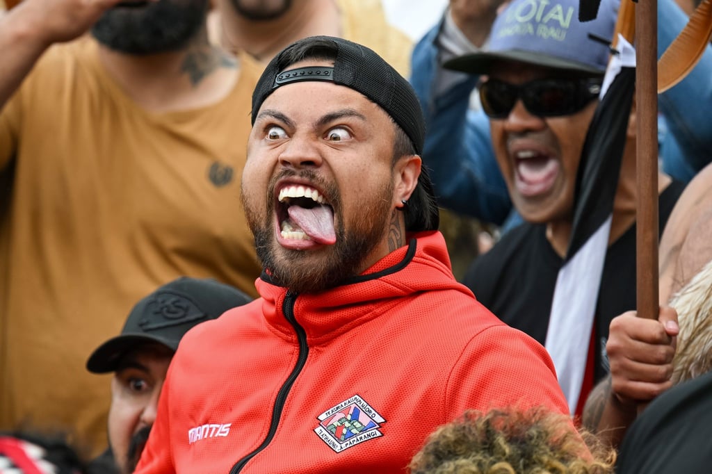 In Neuseeland leben heute rund 900.000 Maori, das sind etwas mehr als 17 Prozent der Bevölkerung.