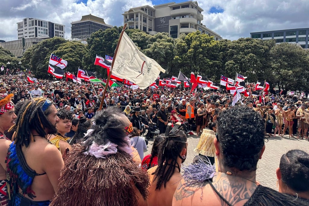 Der Gesetzesentwurf legt das Gründungsdokument Neuseelands - den Vertrag von Waitangi - neu aus.