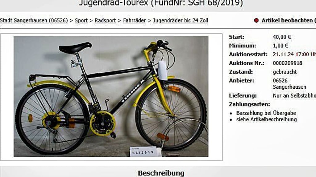 So sieht das auf der Internetseite aus, auf der die Objekte zu finden sind, die die Stadt Sangerhausen versteigert.