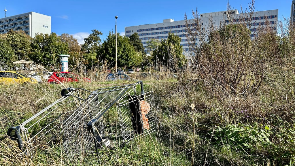 Eigentlich ein Sahnestück im Stadtgebiet: Doch hinter dem einstigen Maritim-Hotel, wo das Bauprojekt "Riebecks Gärten" geplant war, wuchert derzeit das Unkraut.