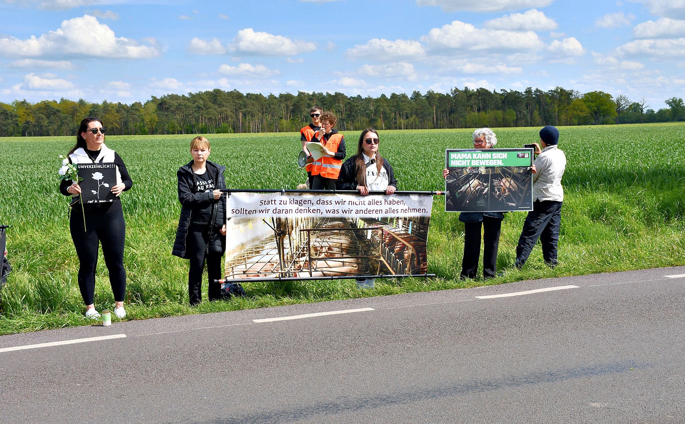 Gemeinde gegen Unternehmen: Arendsee fordert Rückbau von Gebäuden der Schweinezuchtanlage