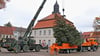 Dank Teamwork zwischen Bundeswehr und Bauhof: Seit Donnerstag stehen vor den Rathäusern in Möckern und Loburg die Weihnachtsbäume.