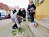 Weiße Rosen für vier ermordete Gröbziger Juden: Mit Stolpersteinen wird an sie erinnert.