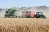 Symbolfoto - Der Bauernverband Mansfeld-Südharz zieht zum Bauerntag in Sittichenbach Bilanz über das vergangene Jahr. 