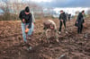 Auf Initiative des Landtages Sachsen-Anhalts wurden am Samstag in Zusammenarbeit mit der  Schutzgemeinschaft  Deutscher Wald von Zeitzern und Landtagsabgeordneten  auf einem städtischen Areal  in der Zeitzer Friedensstraße Bäume gepflanzt.