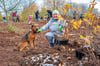  Anne-Katrin Blisse, Landesgeschäftsführerin der Schutzgemeinschaft Deutscher Wald, kam mit  Hund Abby und leitete das Pflanzprojekt an.   