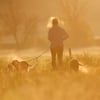 In der letzten Novemberwoche wird das Wetter in Sachsen-Anhalt wechselhaft.