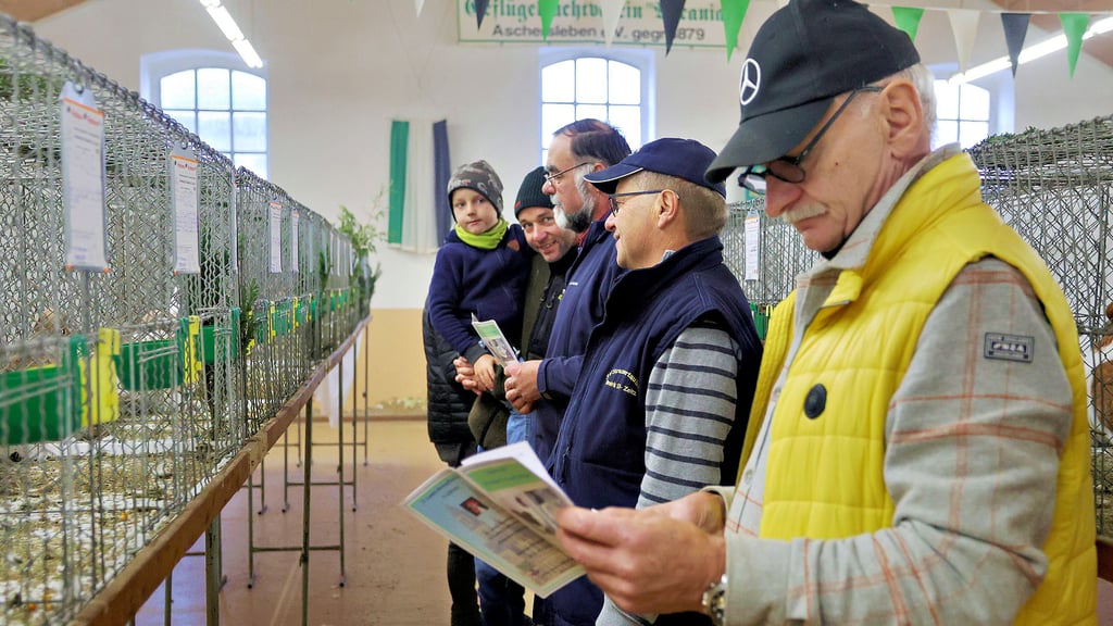 Geflügelzüchter aus Sachsen-Anhalt und Thüringen tummelten sich im Vereinsheim des Ascherslebener GZV „Ascania“.