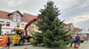 Der Weihnachtsbaum von Arneburg steht im Stadtzentrum in der Breiten Straße. Bald wird hier geschmückt.