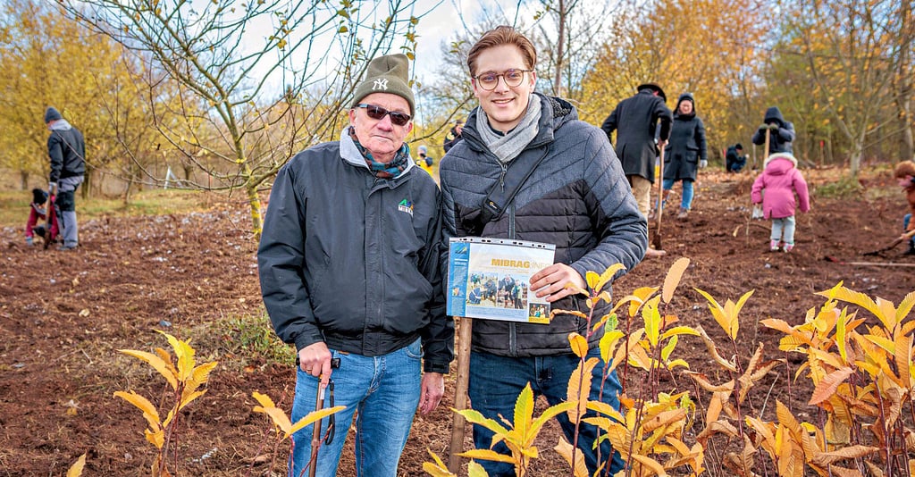 Lutz und Hans Eckardt (v.l.) halfen am Sonnabend gemeinsam bei der Pflanzaktion in Zeitz mit.