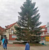 Der Klötzer Weihnachtsbaum auf dem Lidl-Parkplatz ist seit diesem Jahr Geschichte. 