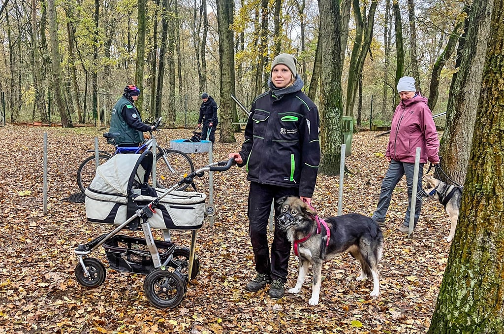 Kinder bedeuten für Husky-Hündin Nelly Stress. Tierpflegerin Mareike Ladewig (Mitte) übt mit ihr deswegen die Begegnung mit einem Kinderwagen.