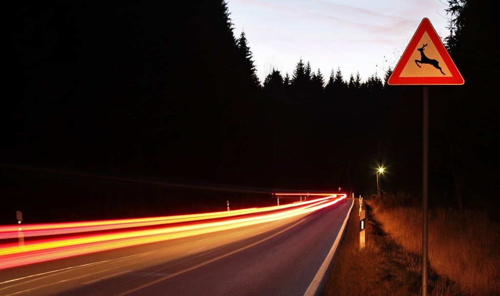 Ein Wildunfall kann selbst bei nicht angepasster Geschwindigkeit als unabwendbar gelten.