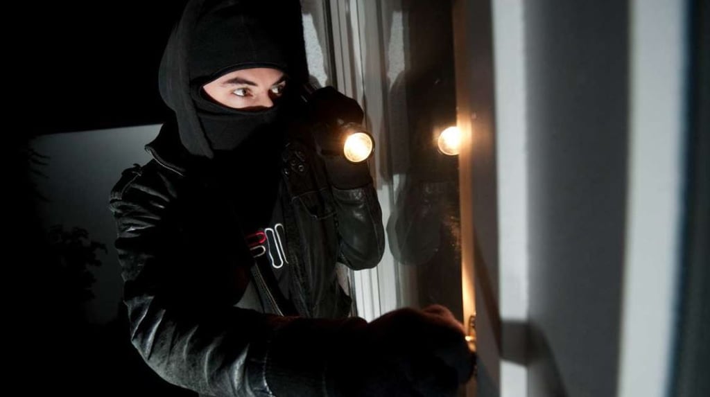 Die Polizei hat am Wochenende einen Einbrecher in Magdeburg auf frischer Tat ertappt.