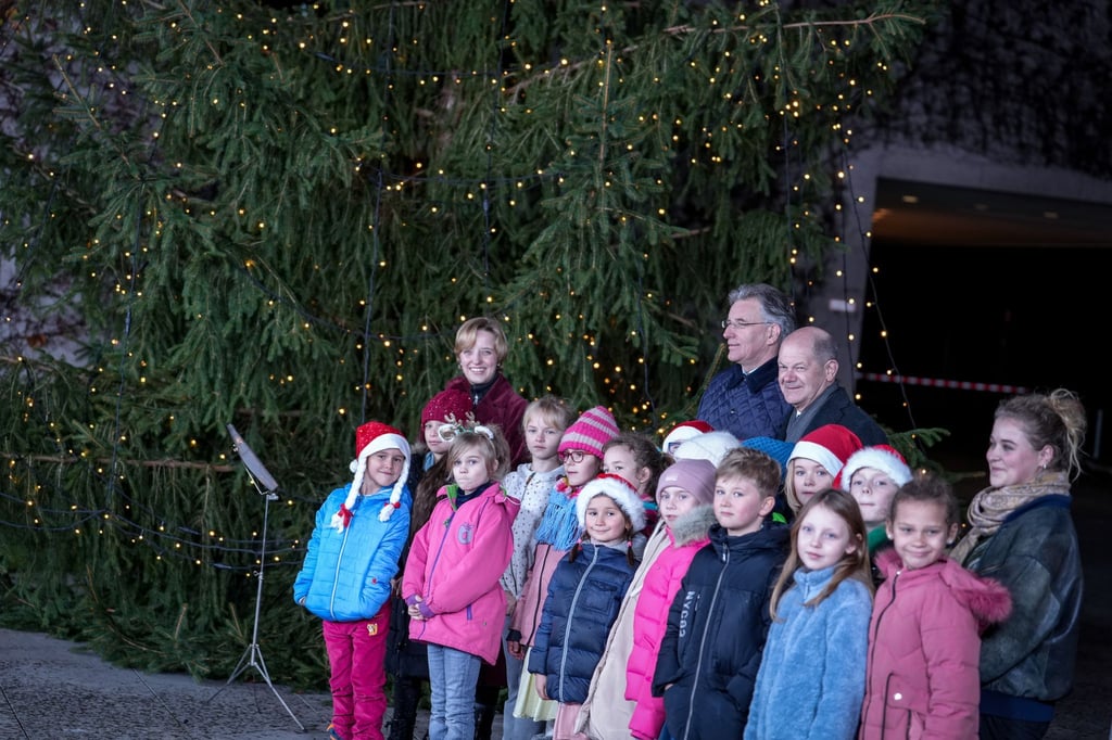 Der Weihnachtsbaum vor dem Kanzleramt kommt auch dieses Jahr wieder aus Brandenburg.
