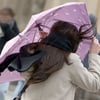 In der letzten Novemberwoche wird das Wetter in Sachsen-Anhalt wechselhaft.