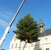 An einem Kran schwebt der Lützener Weihnachtsbaum.