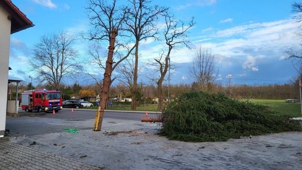 Der Sturm fegte auch den Weihnachtsbaum im Zeitzer Ortsteil Nonnewitz um.