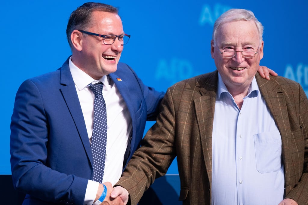 Alexander Gauland hat von Chemnitzer AfD-Kreisverband das Angebot für eine Kandidatur bekommen (Archivbild).