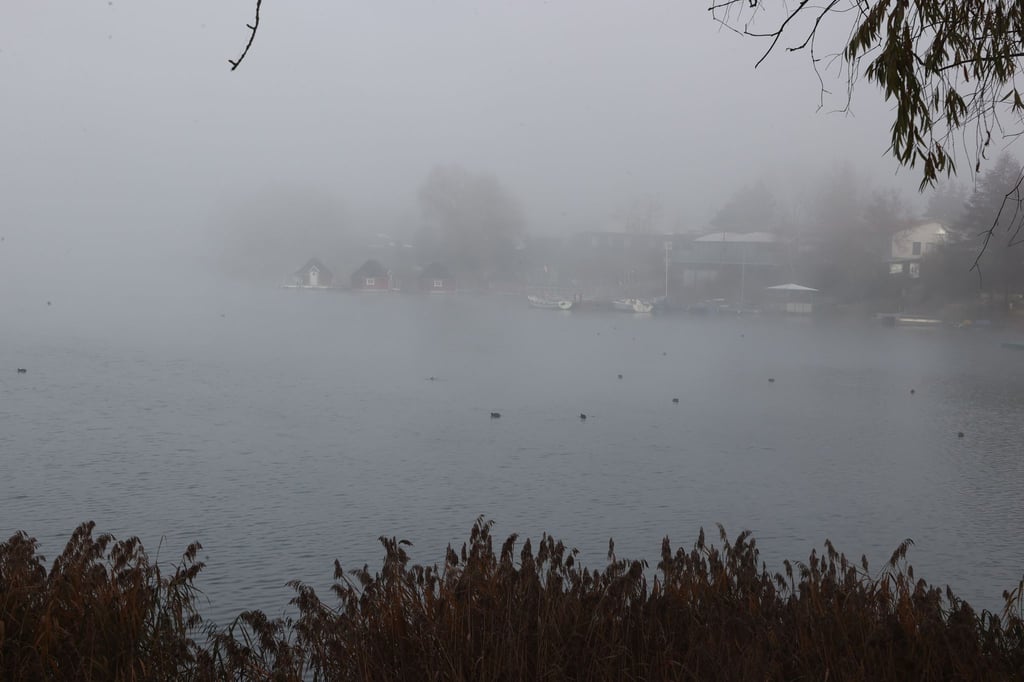 Bei Temperaturen unter dem Gefrierpunkt bildet sich in Thüringen nachts stellenweise Nebel und die Straßen werden glatt. (Symbolbild)