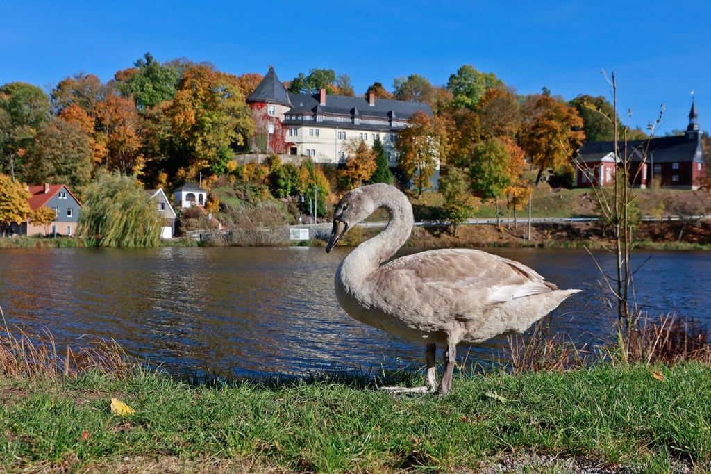 Die Herbstmonate in Sachsen-Anhalt haben neue Rekorde gesetzt – vor allem im September. (Archivbild)