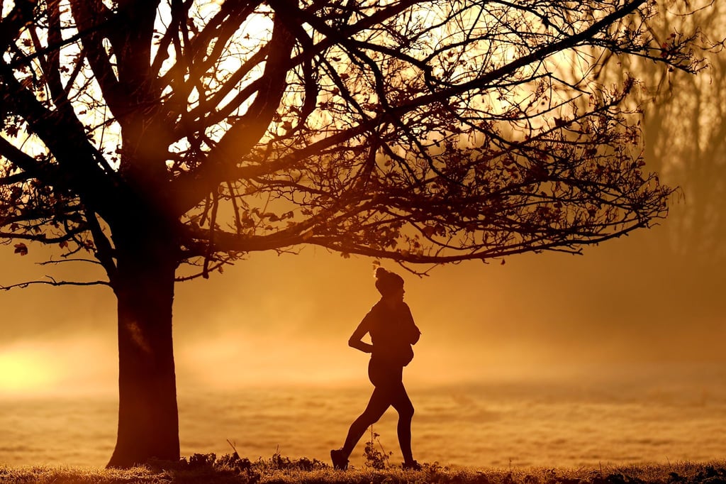 Auch die Herbstmonate 2024 waren laut ersten Prognosen zu warm (Foto aktuell).