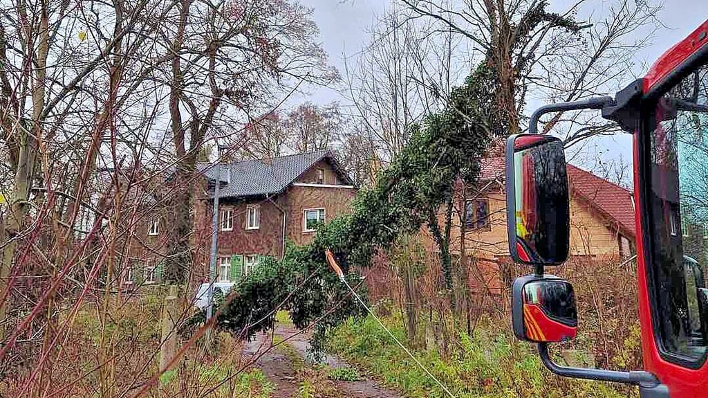 In Roßdorf musste die Feuerwehr einen umgestürzten Baum beseitigen.