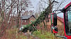 In Roßdorf musste die  Feuerwehr einen umgestürzten Baum beseitigen.