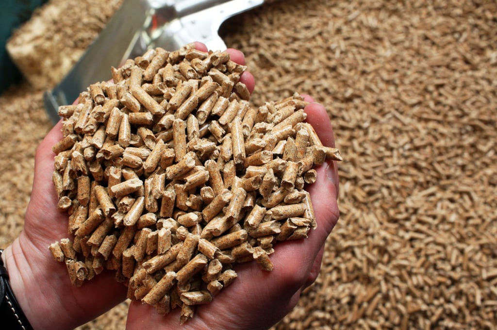 Das Energieunternehmen Leag übernimmt einen Holzpellet-Produzenten aus Schweden. (Symbolbild)