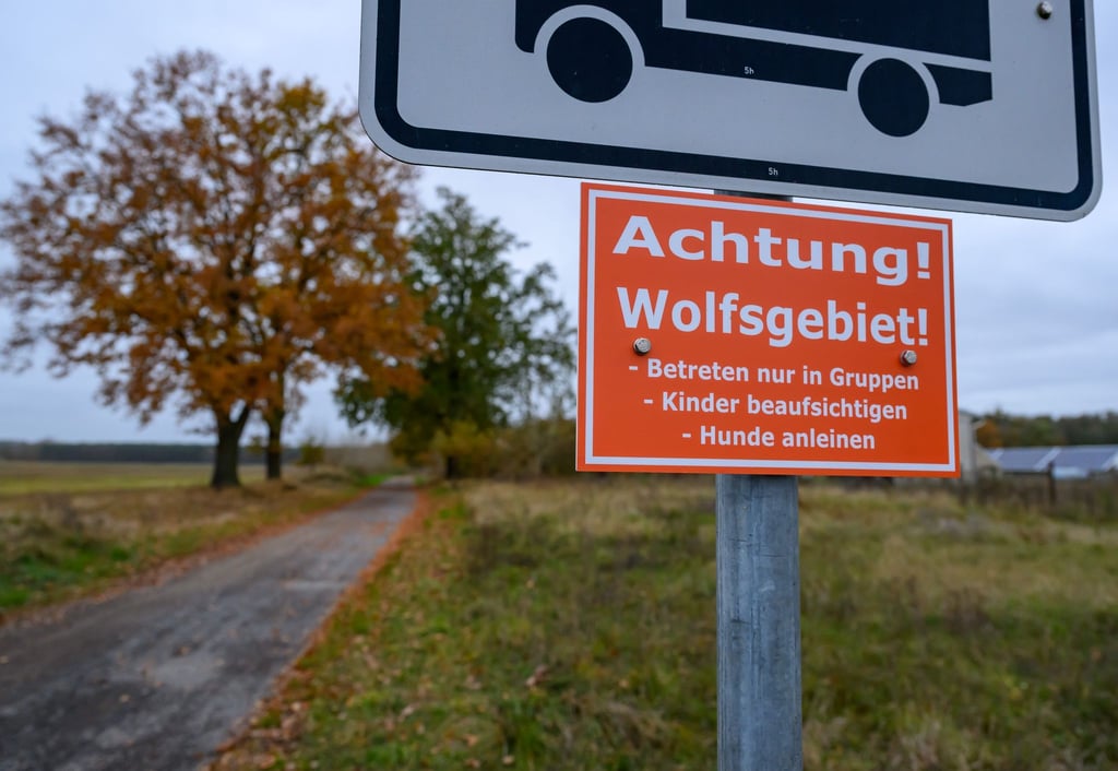 Achtung Wolfsgebiet: In einer Gemeinde im Kreis Märkisch-Oderland hängt ein solches Hinweisschild - das ist in Brandenburg aber die Ausnahme. (Archivfoto)
