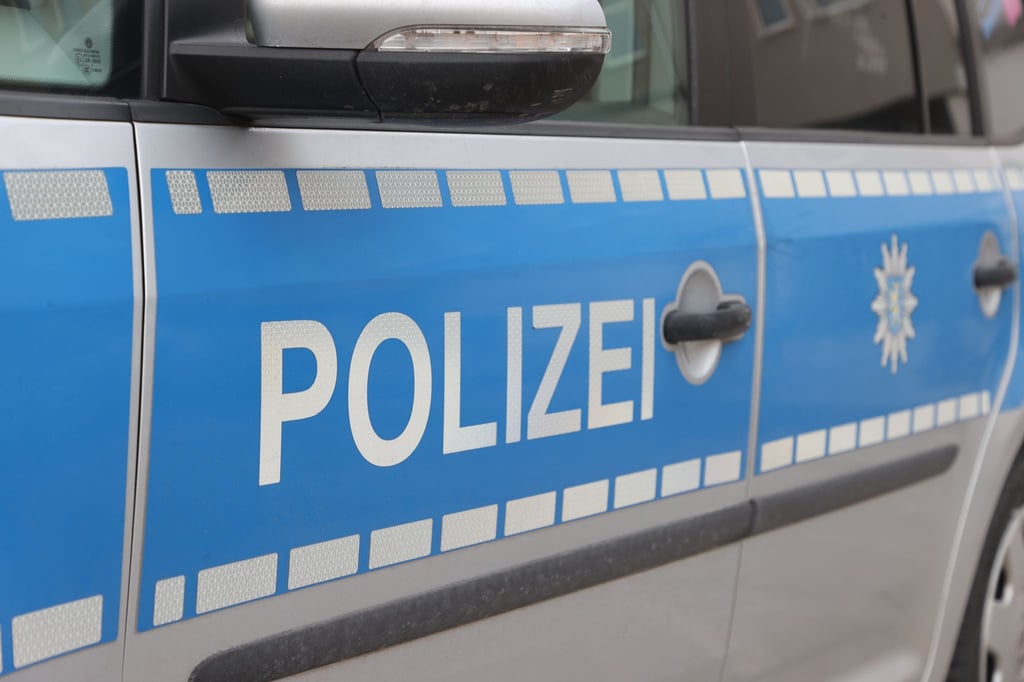 Die Polizei wurde zu einem kuriosen Auspark-Unfall gerufen. (Symbolbild)