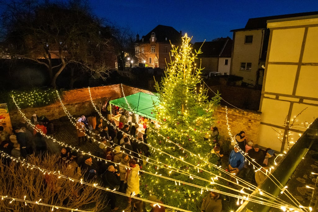 Ein großer Weihnachtsbaum schmückte den Hof der Lebenshilfe.