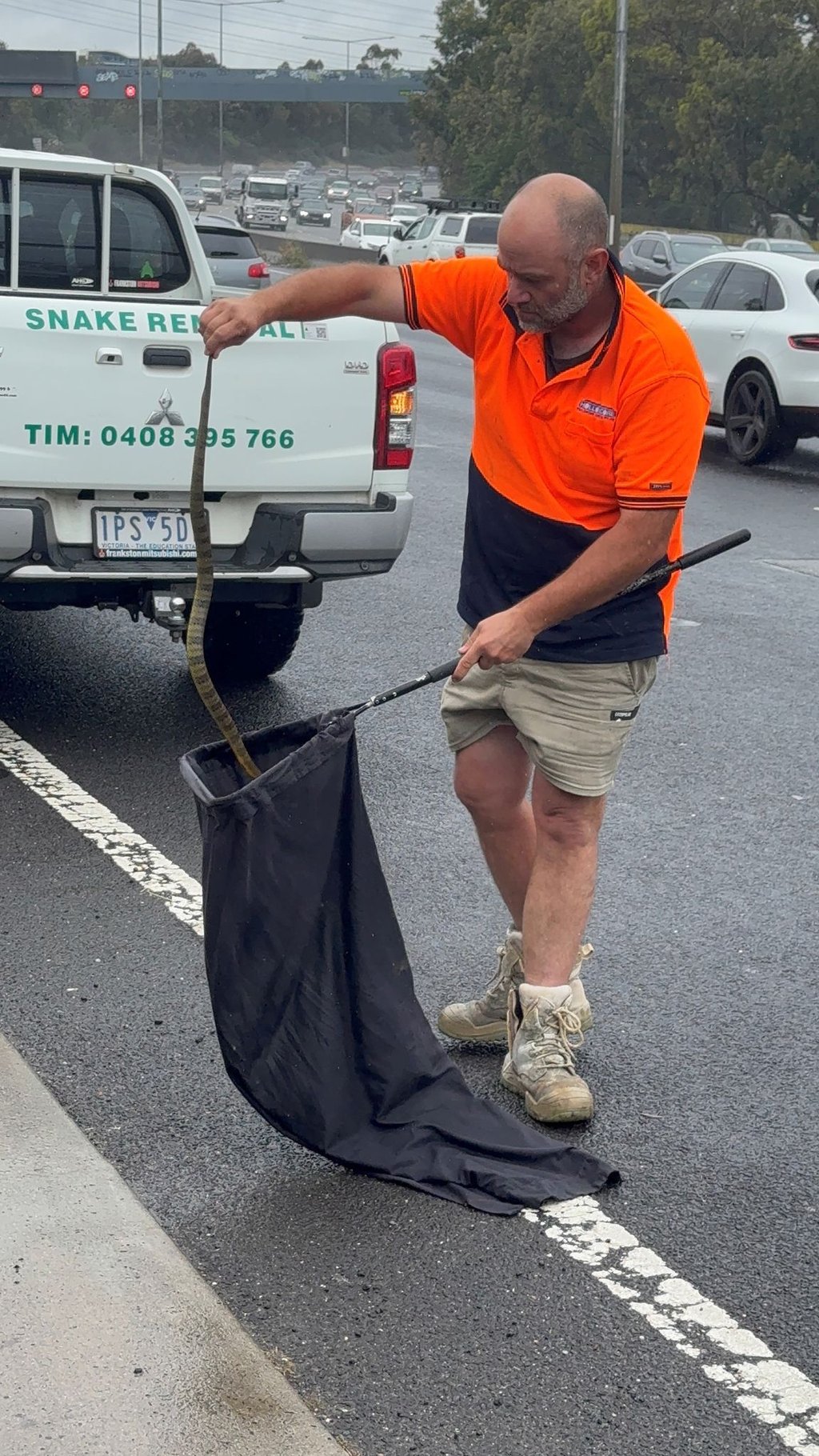 In Australien musste sich eine Frau vor einer tödlichen Giftschlange aus ihrem Auto retten. (Foto Handout)