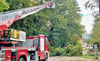 Bei dem Sturm am Donnerstag krachte am Rosenhag in Bernburg ein Baum auf die Straße. 