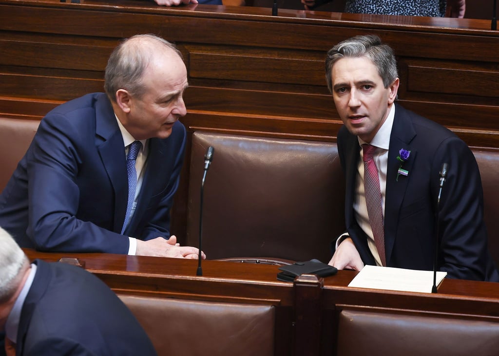 Die Parteien von Simon Harris und Micheál Martin wollen ihre Zusammenarbeit fortsetzen. (Archivbild)