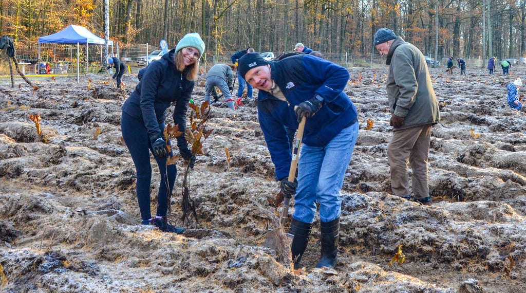 Mit Spaten und Tatenkraft ausgerüstet: Der Lions Club Oschersleben pflanzt Bäume im Hohen Holz.