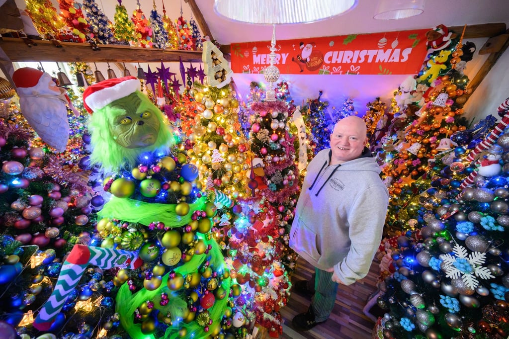 Die Familie Jeromin sammelt Weihnachtsbäume - in diesem Jahr 600.