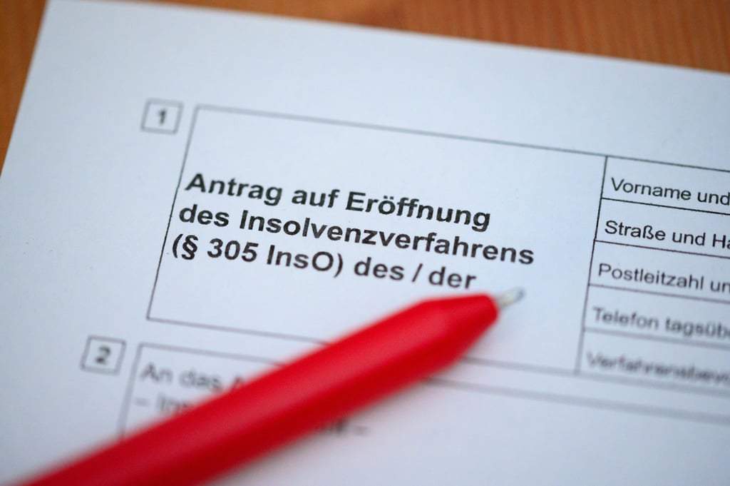 In Thüringen gab es in den ersten neuen Monaten dieses Jahres rund 200 Unternehmensinsolvenzen. (Symbolbild)