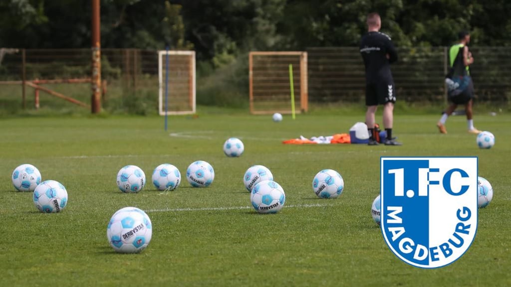 Der 1. FC Magdeburg hat sein Physio-Team um Ferdinand Renner erweitert.
