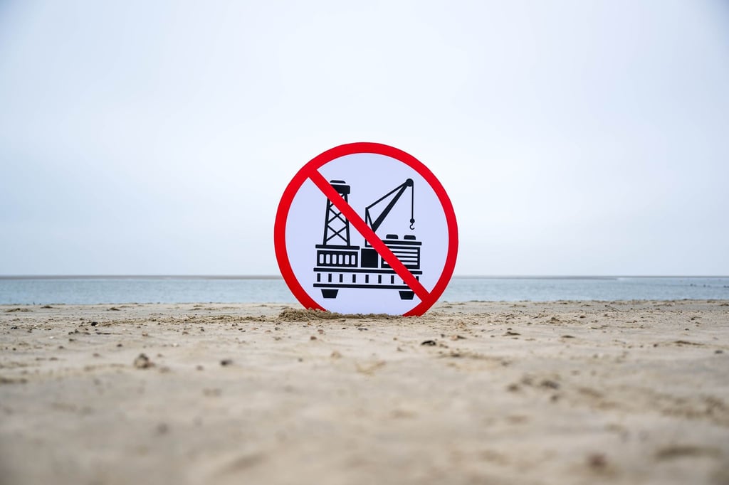Die Grünen wollen keine Erdgasförderung vor Borkum. (Archivbild)