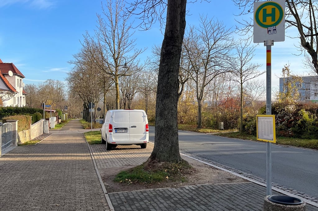 Der betroffene Baum am Flemminger Weg.