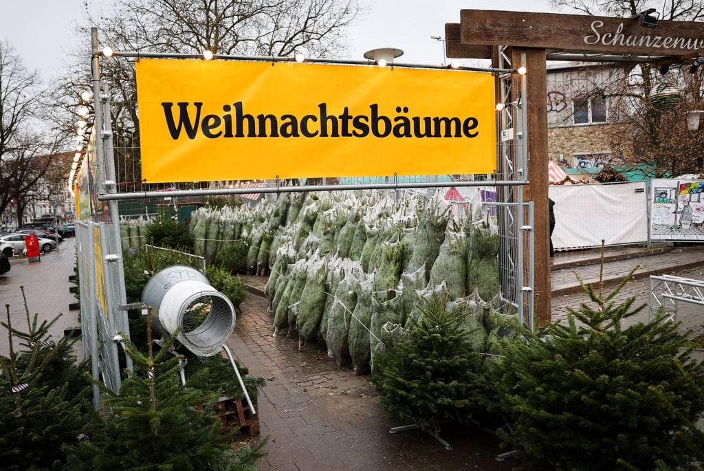 Weihnachtsbäume haben in Deutschland eigentlich immer Nadeln. (Archivbild)