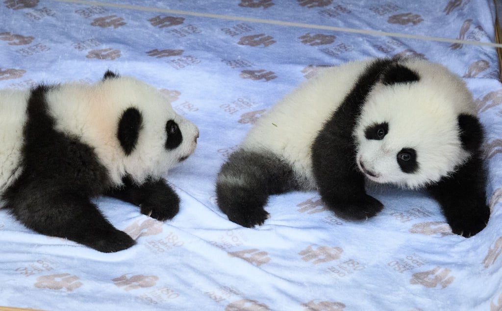 Die chinesischen Namen lauten Meng Hao und Meng Tian.