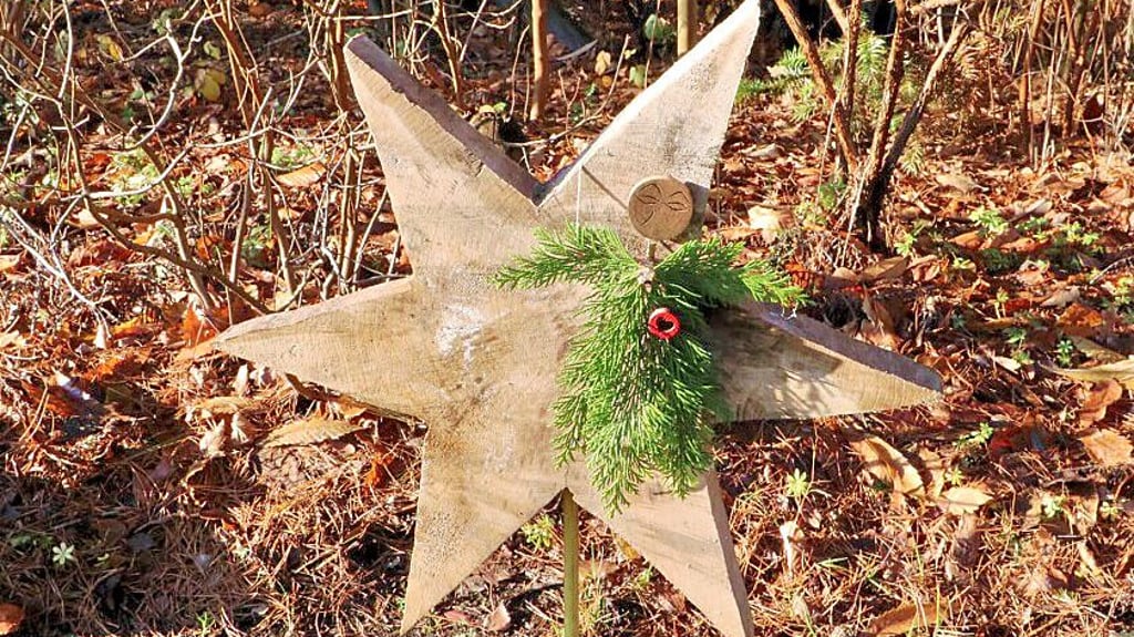 Der Waldgarten in Holzdorf ist jetzt natürlich vorweihnachtlich geschmückt.