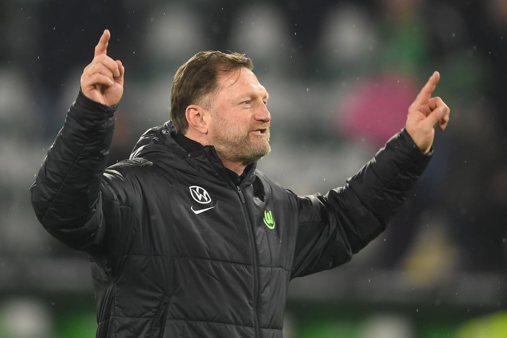 Der Trainer der Stunde: Wolfsburgs Ralph Hasenhüttl.