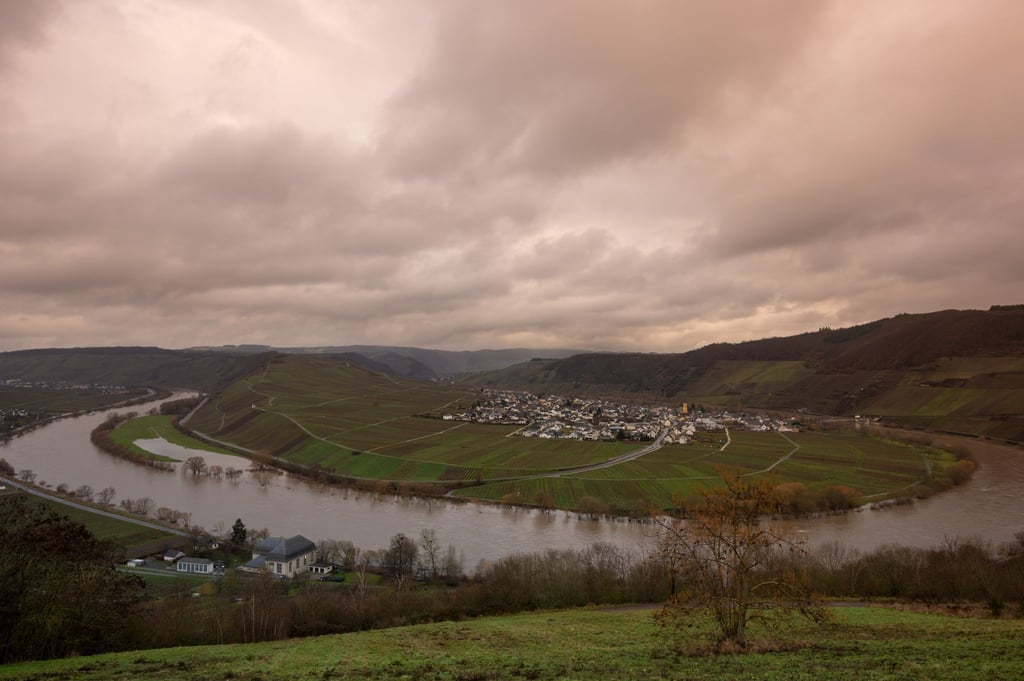 Die Sperrung der Mosel nach einem Schleusen-Unfall betrifft die Flusskreuzfahrt erheblich.