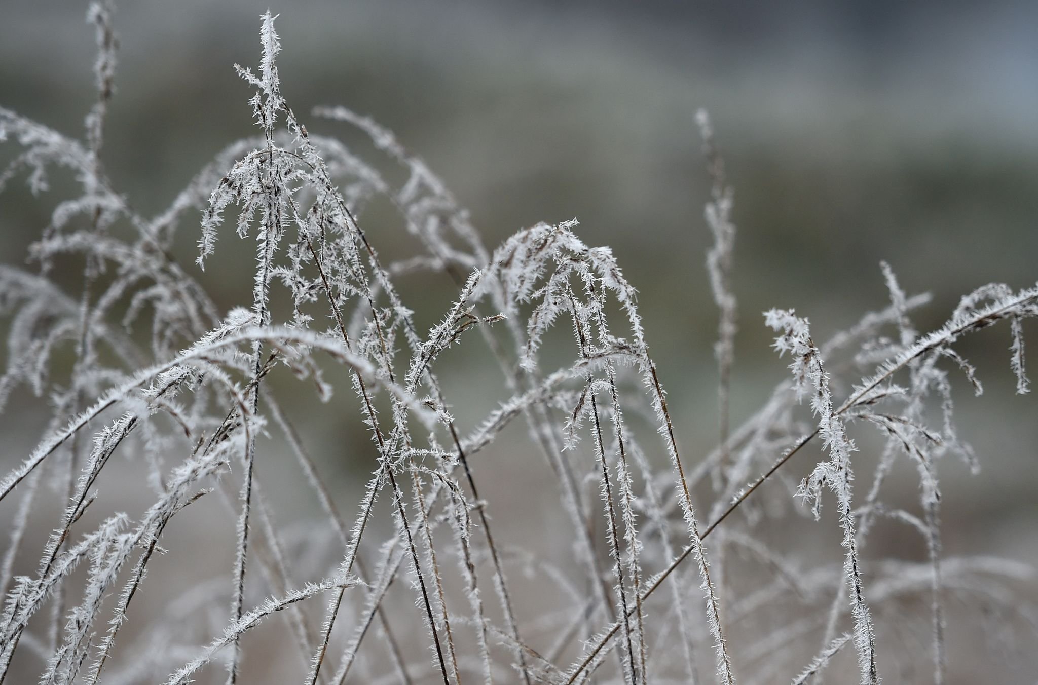 Wetter: Nebel Und Glatteis In Sachsen-Anhalt