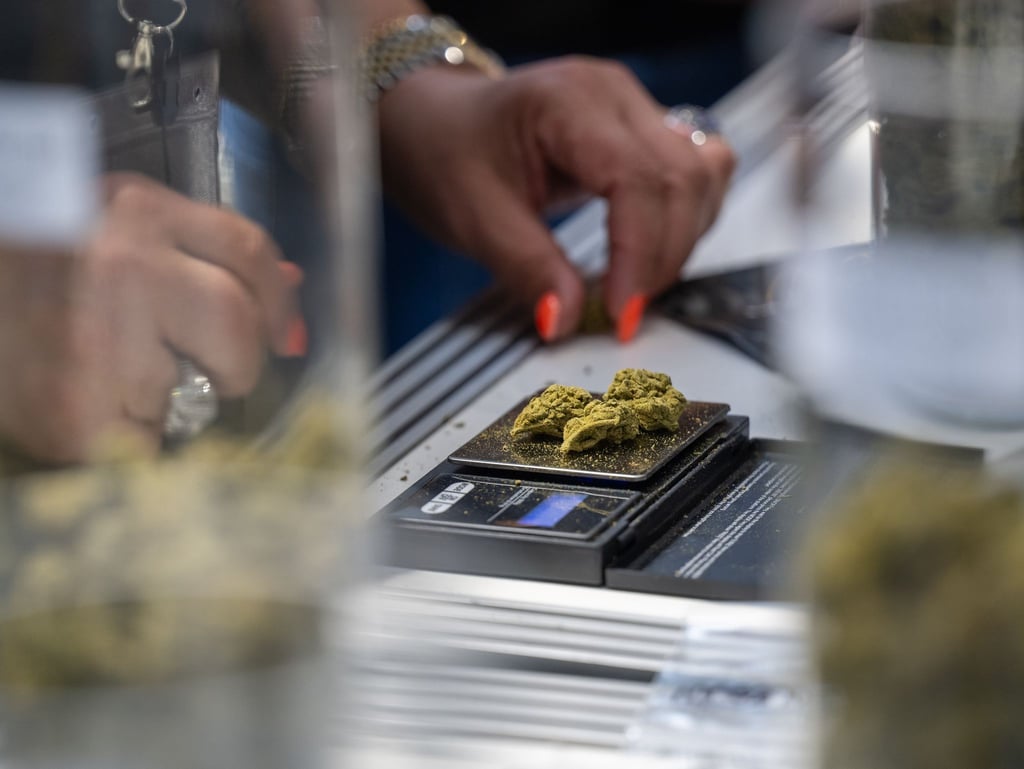 Zwei Berliner Bezirke planen Cannabisverkauf in Fachgeschäften. (Symbolbild)