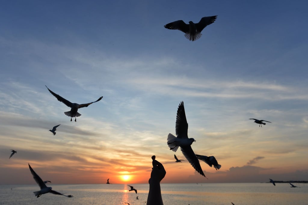 Sonnige Reiseziele wie Thailand sind laut Dertour in diesem Winter besonders gefragt. (Archivbild)
