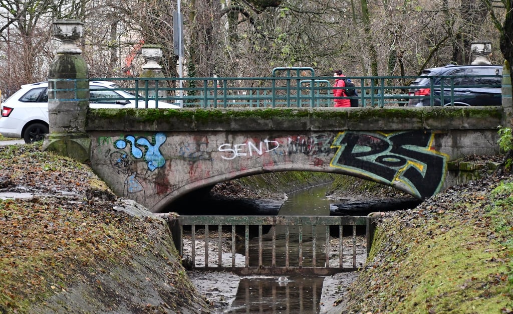 Die marode Brücke in Magdeburg, die ersetzt werden soll. Damit das geschehen kann, müssen zuerst Bäume gefällt werden.